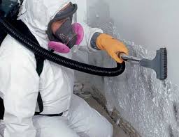 Best HVAC Mold Inspection and Cleaning  in Elida, OH